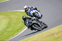 Middle Group Black Bikes